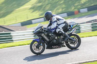 Lower Group Black Bikes